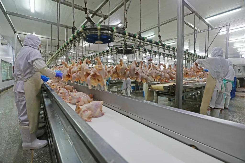 Cargill Meat Solutions