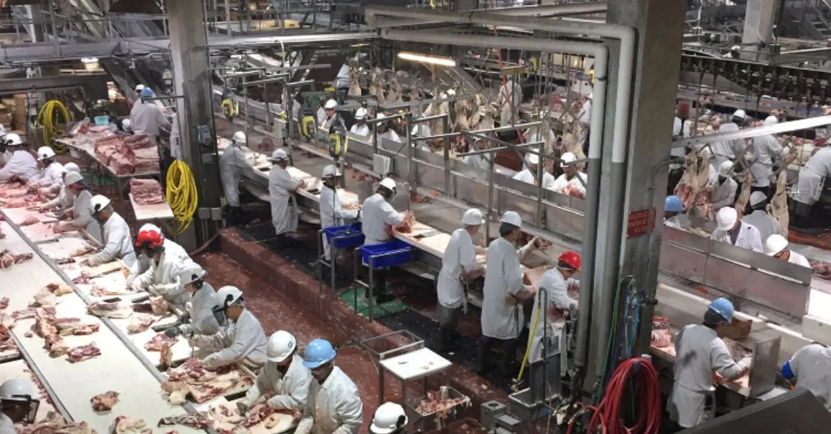 Mastering the First Impression: Your intriguing post title goes here Cargill Meat Packing Plant Alberta A Look Inside At North V0 4aa9tCMt50GQf7SU4oh4iqtfF7fQzn QKepwFG98qjc
