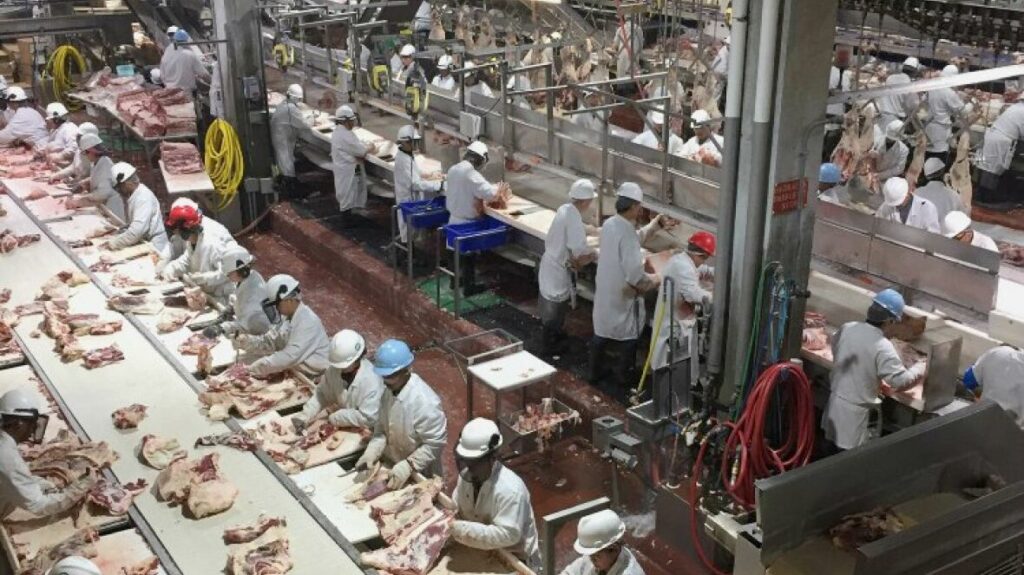 Cargill Meat Solutions